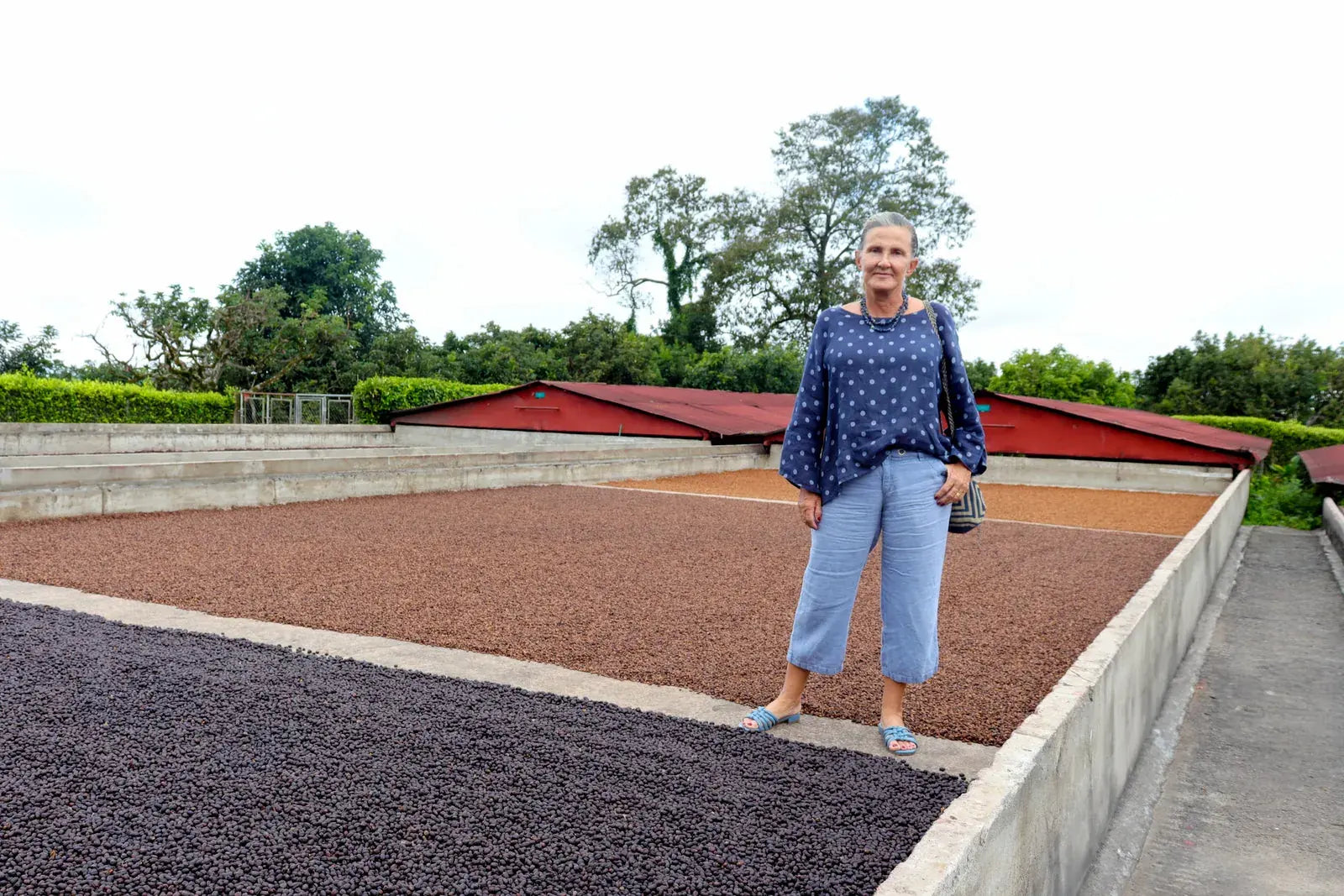 Produtor no terreiro de secagem