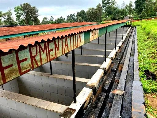 Fermentation tanks at origin
